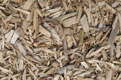biomass boilers Coat