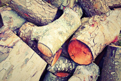 Coat wood burning boiler costs